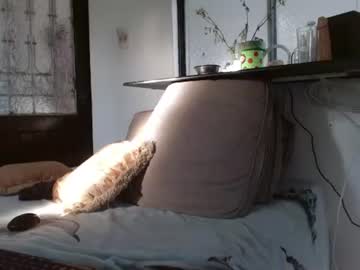 johan_kitten