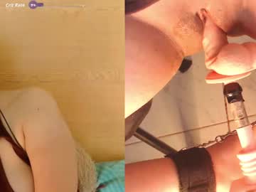 lauriss_